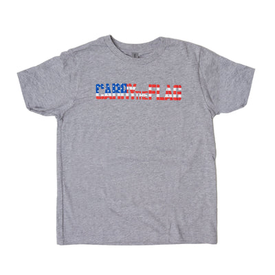 Youth Carry The Flag T-Shirt - Gray - Carry The Load Shop